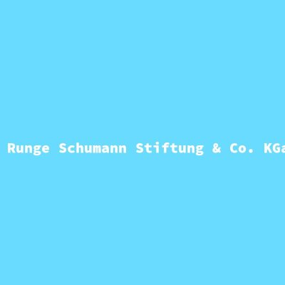 Hersteller: Runge Schumann Stiftung &amp; Co. KGaA